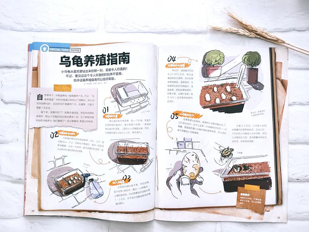 小学英语科普汇总,一张表搞定小学英语