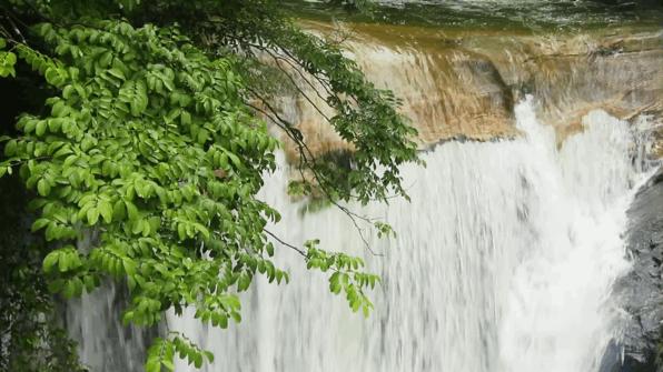 这份避暑指南请你收好,夏天必去武功山