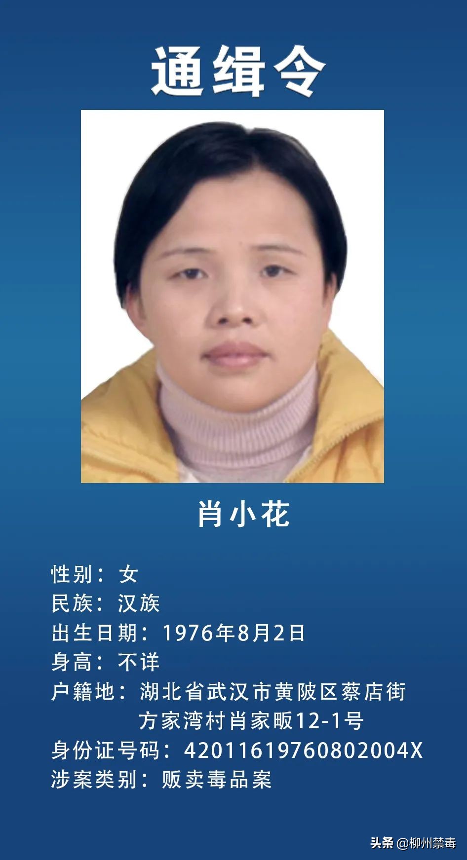 最新发布10名通缉犯名字,通缉令发布半小时落网