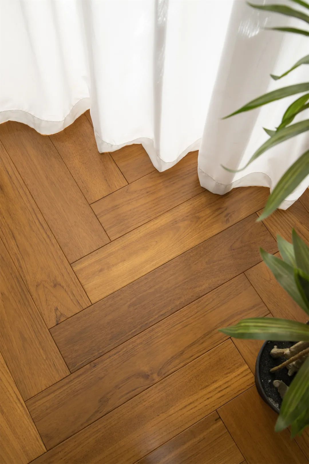 天生王者下一句,天生王者免费阅读