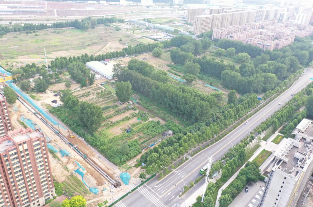 郑州现状给我们的思考启示,谈谈对郑州城市发展的看法