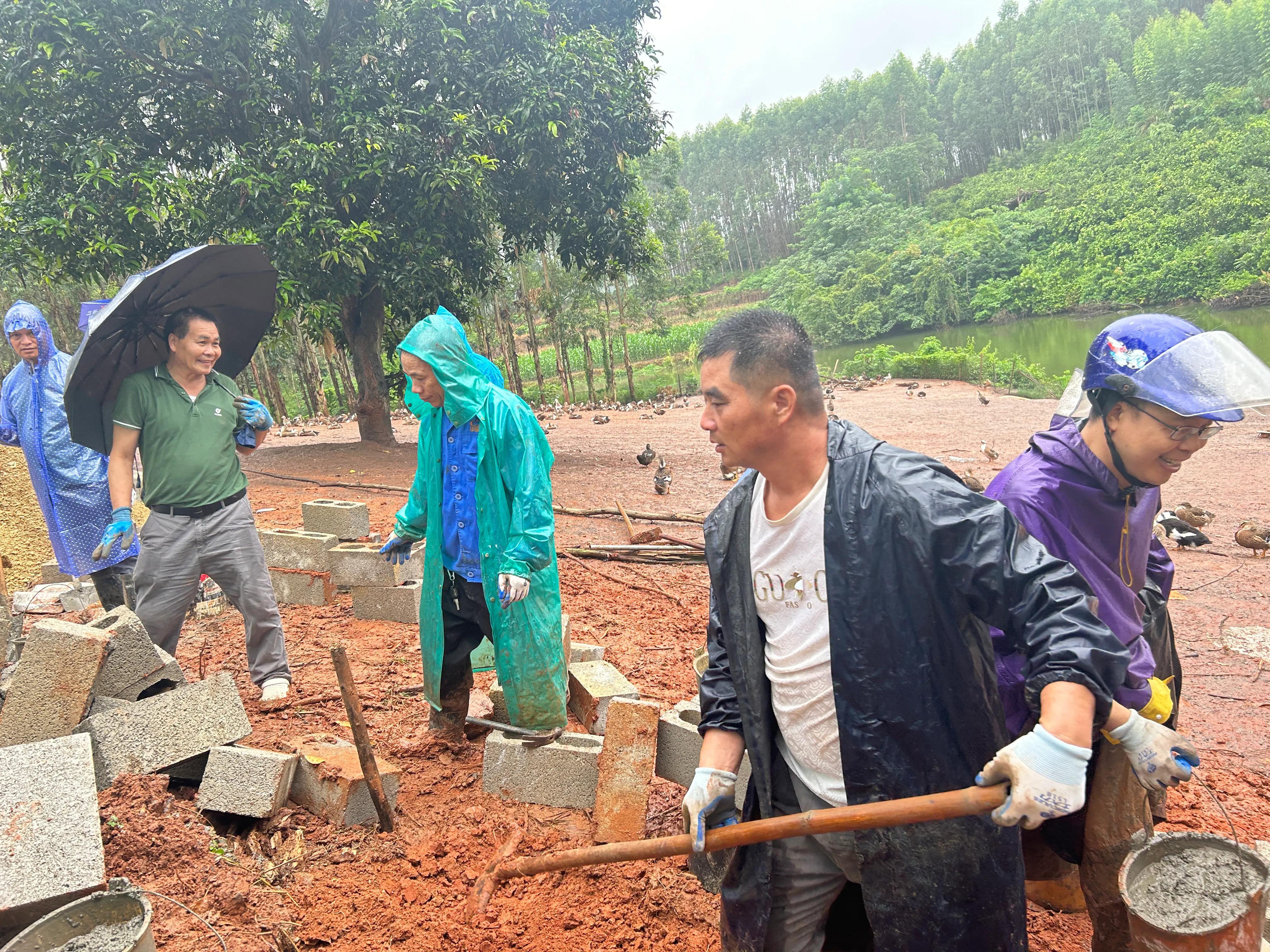 重修应苗公祖墓实录（下）——披荆斩棘凭实干，齐心协力功告成