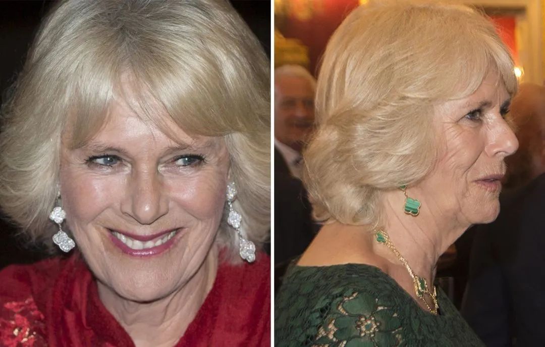 卡米拉出尽风头,卡米拉靠什么被女王认可