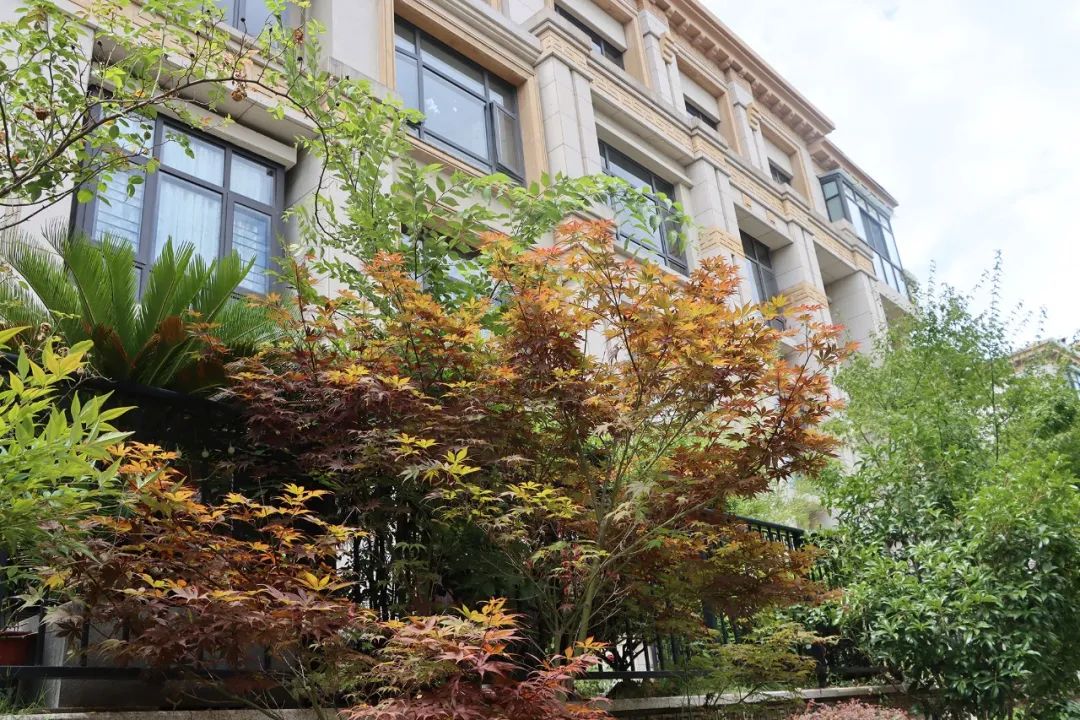 金科王府物业服务怎么样,金科王府小区品质