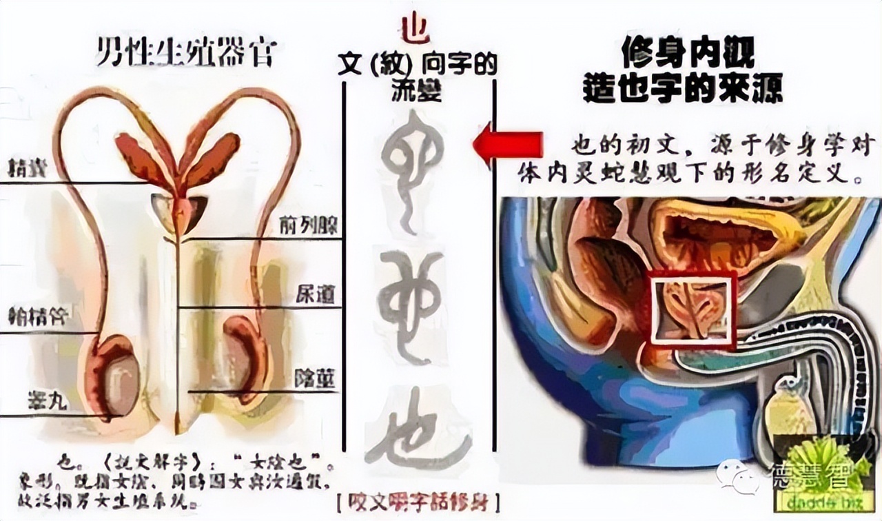 之乎者也古代读音,之乎者也书法作品
