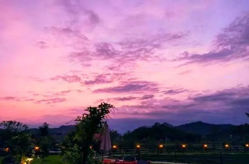 增城网红民宿别墅,增城最美花园亲子民宿