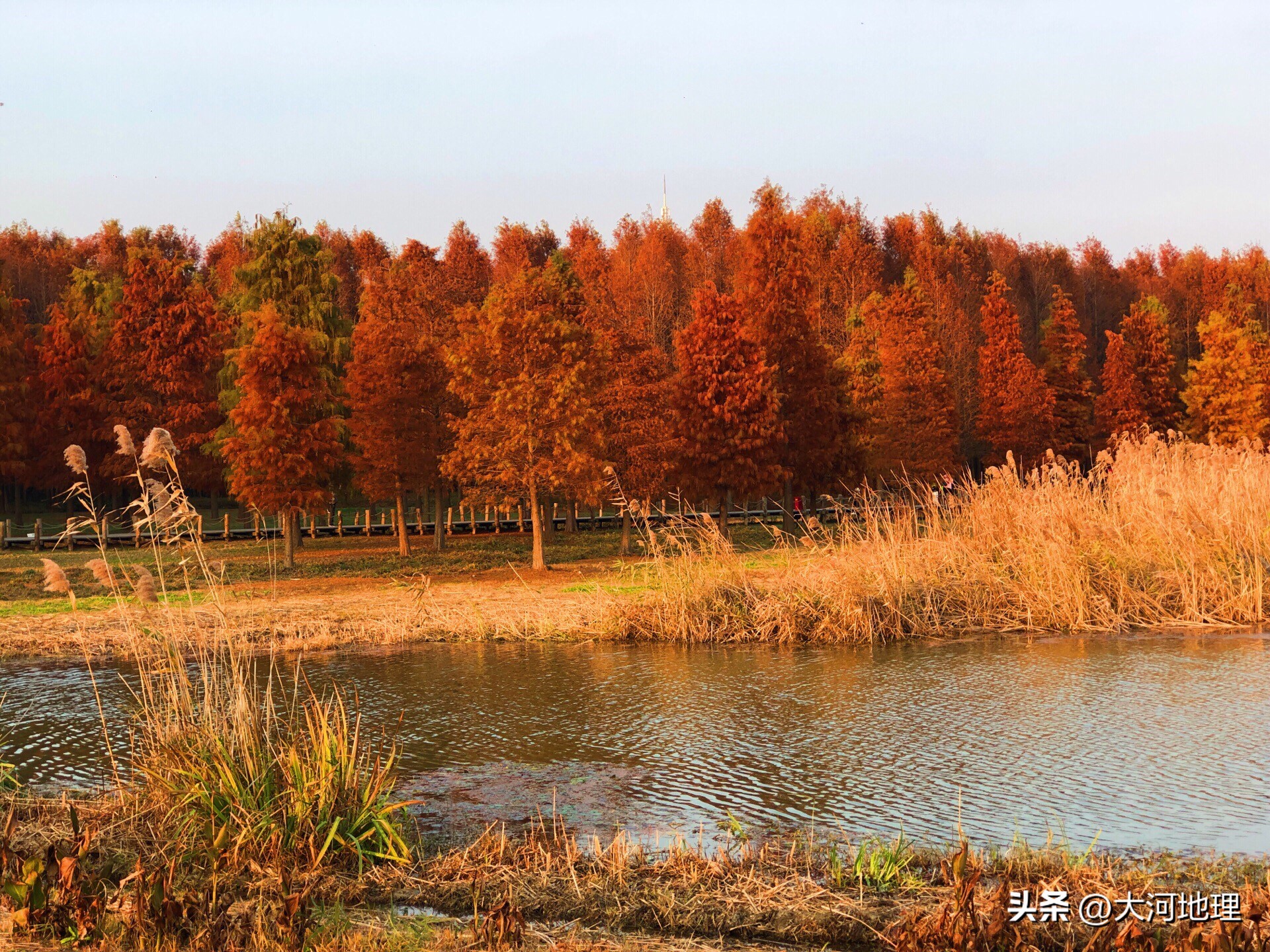 中国南方这30个景点,难说多知名,但敢说它的秋色最艳最浪漫