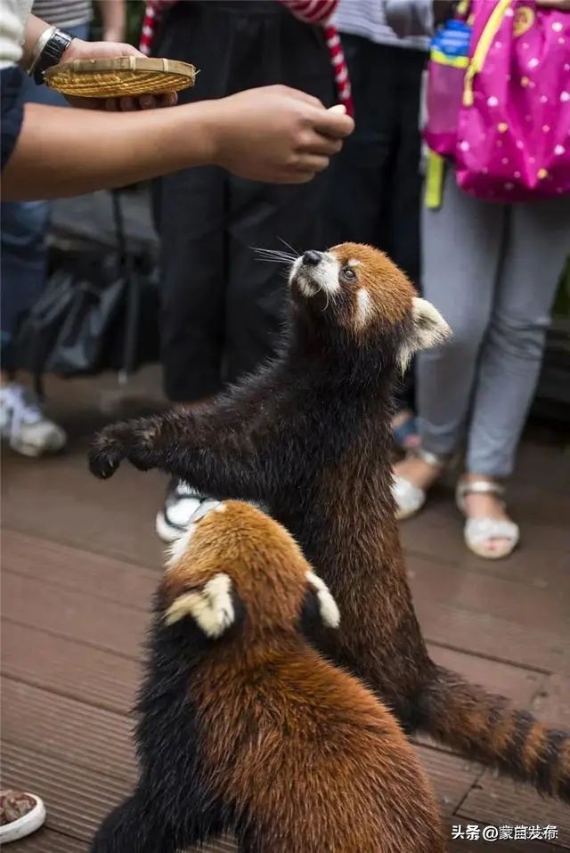 来云南品味有一种叫云南的生活,有一种生活叫做云南的生活