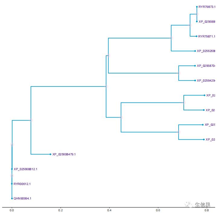 用r语言生成矩阵,使用r语言绘图