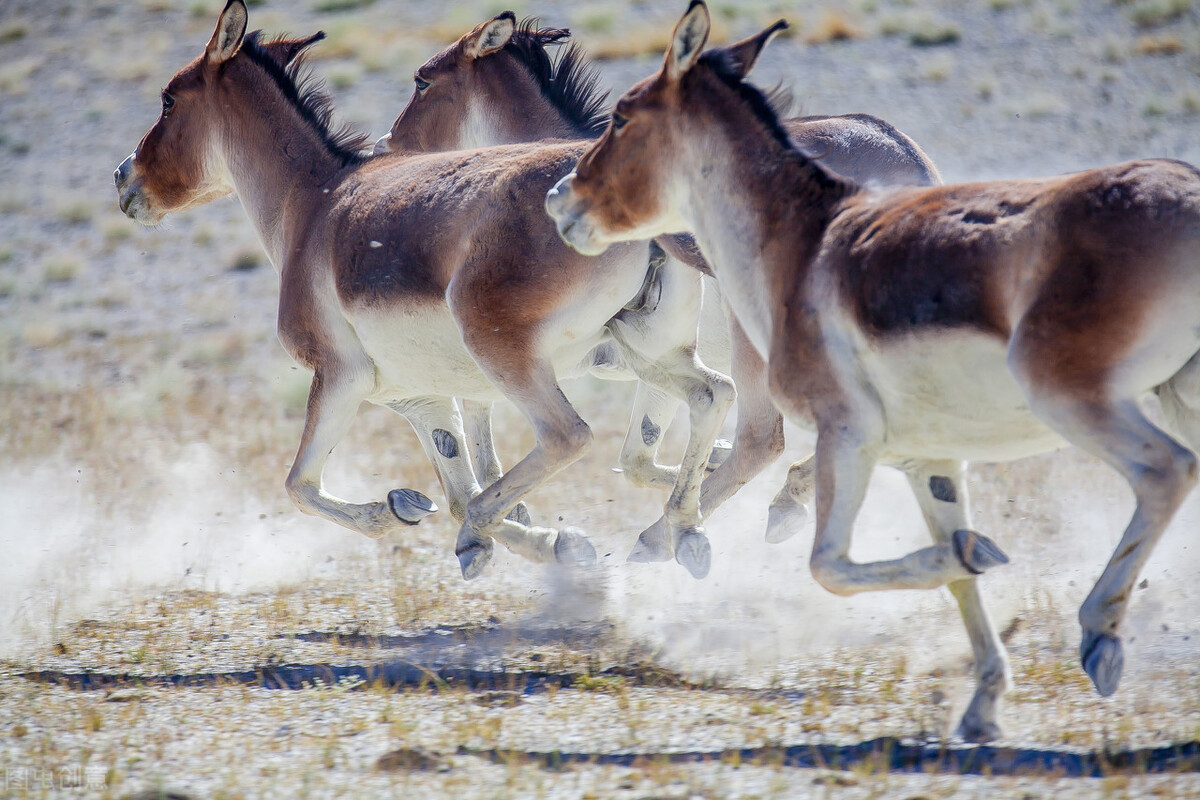 中国禁止入内的地方,中国禁止进入的景点