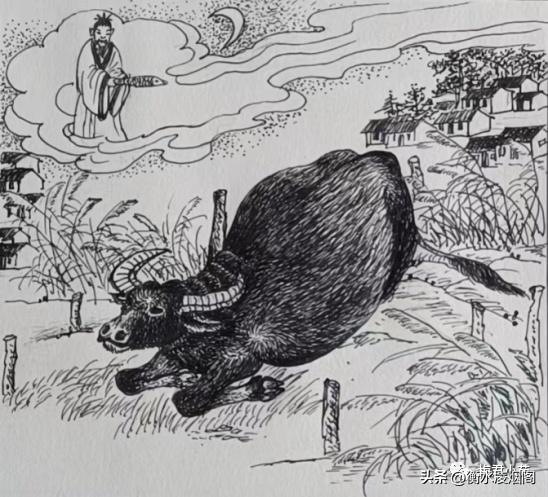 韩志武是谁,韩志武牧羊