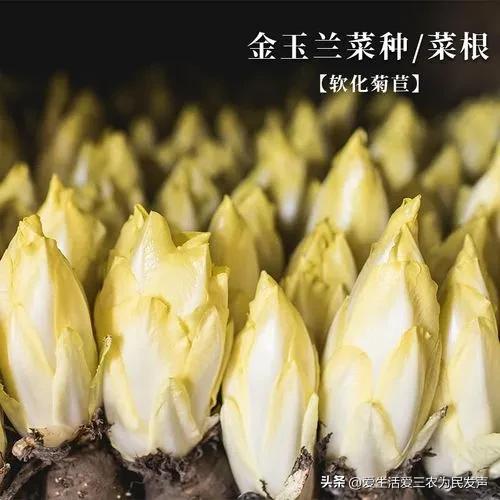 十万块钱农村创业,十万块农村创业