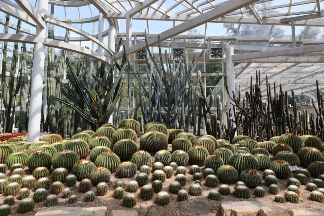 升！升！升！周末去这些地方打卡→