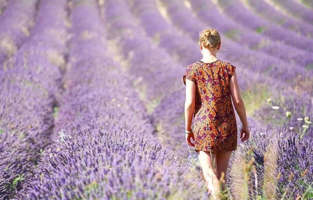 这对年轻夫妻放弃高薪，旅行2年花光存款，潇洒8年后向全网凡尔赛