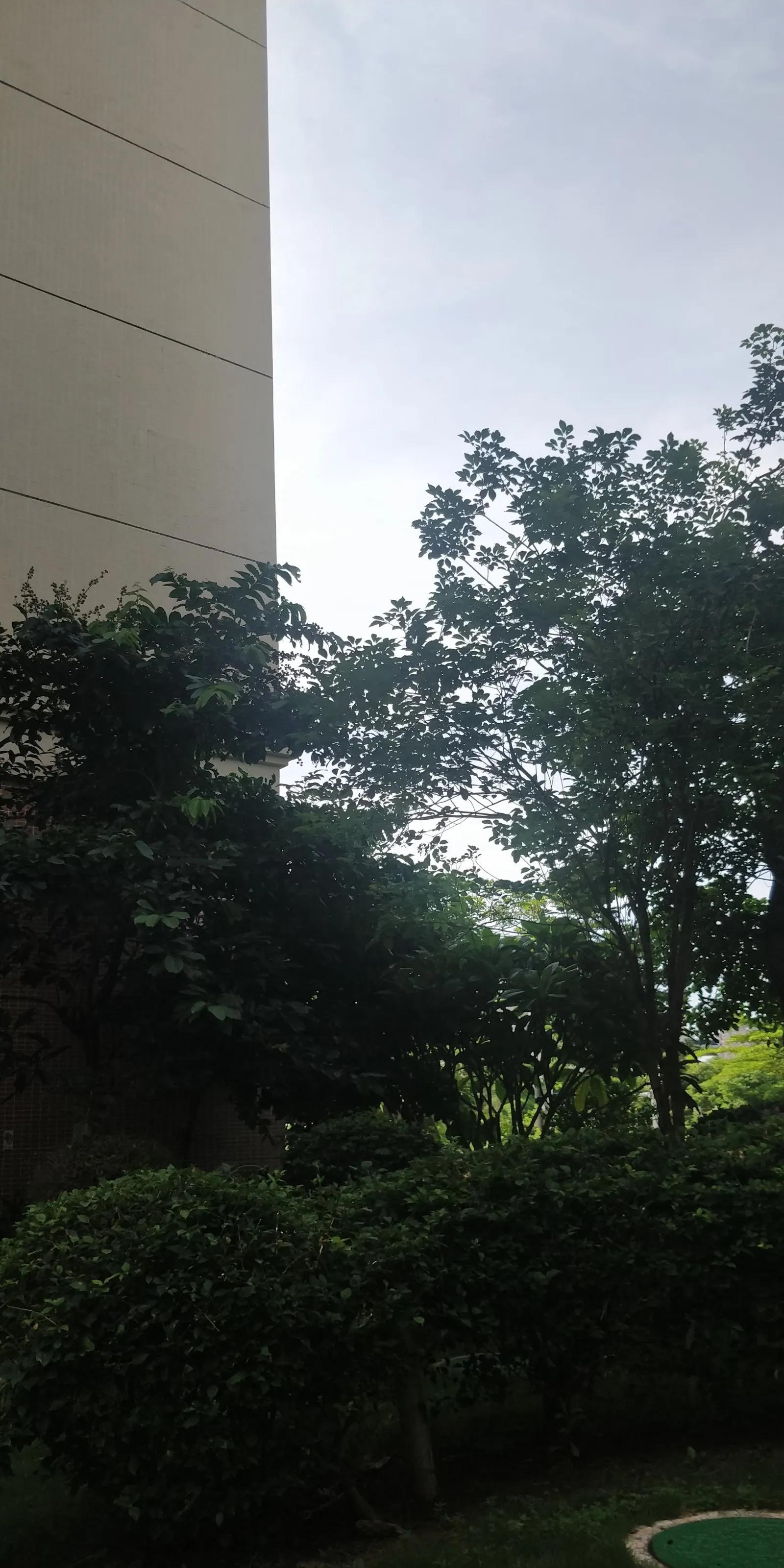 《夏天，去海南避暑》八我是个抡锄农民，也是位有点迂腐的读书人