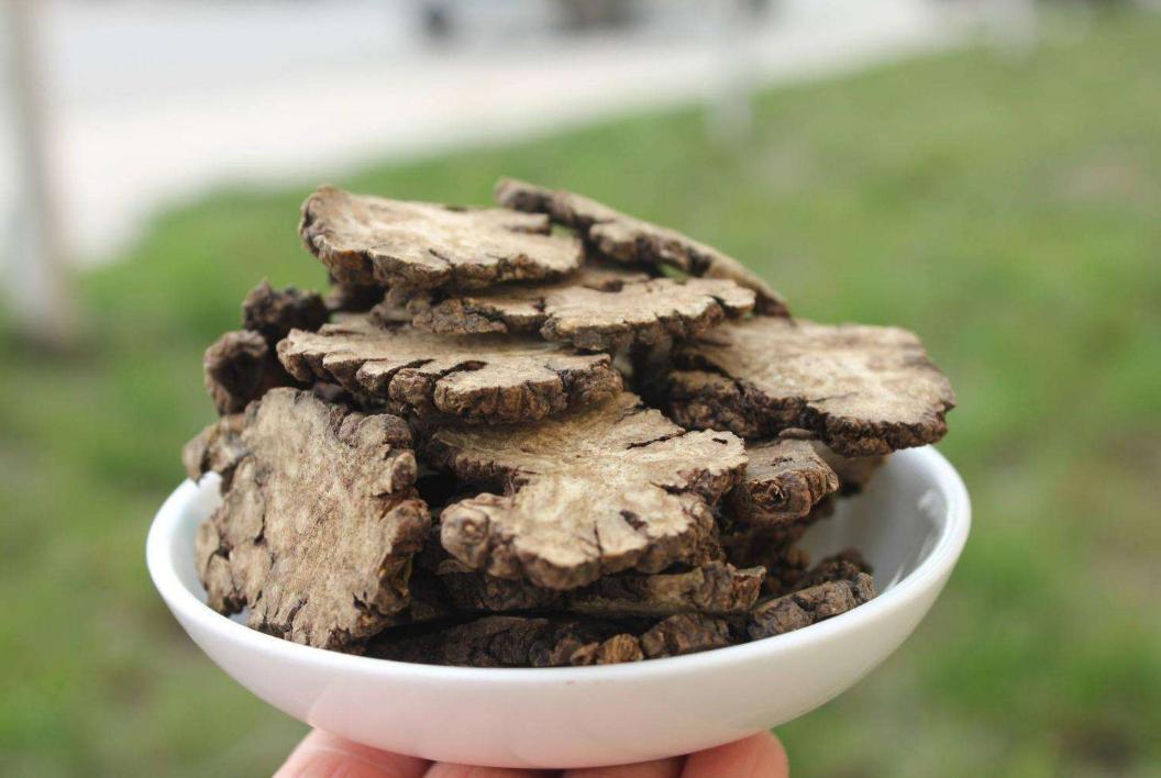 月经量少痛经吃什么补气血又调理,月经量多痛经引起严重贫血怎么办