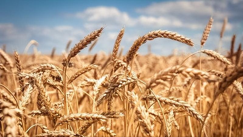 古诗中的人生哲理句子,古诗词中人生哲理的句子