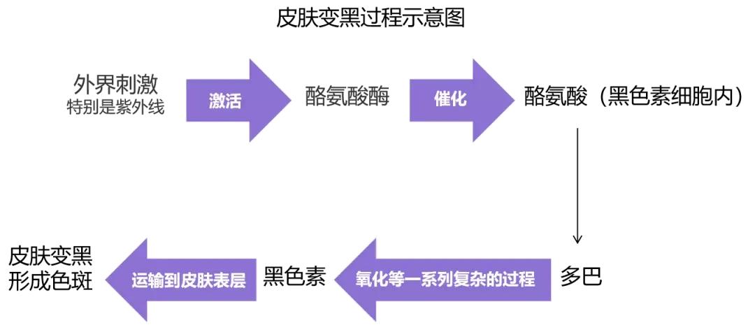 4-丁基间苯二酚是什么,重庆四丁基间苯二酚纳米乳配方