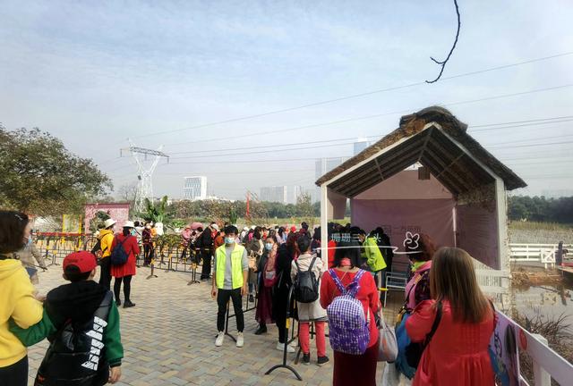 都市农业公园广州,广州农业公园近况