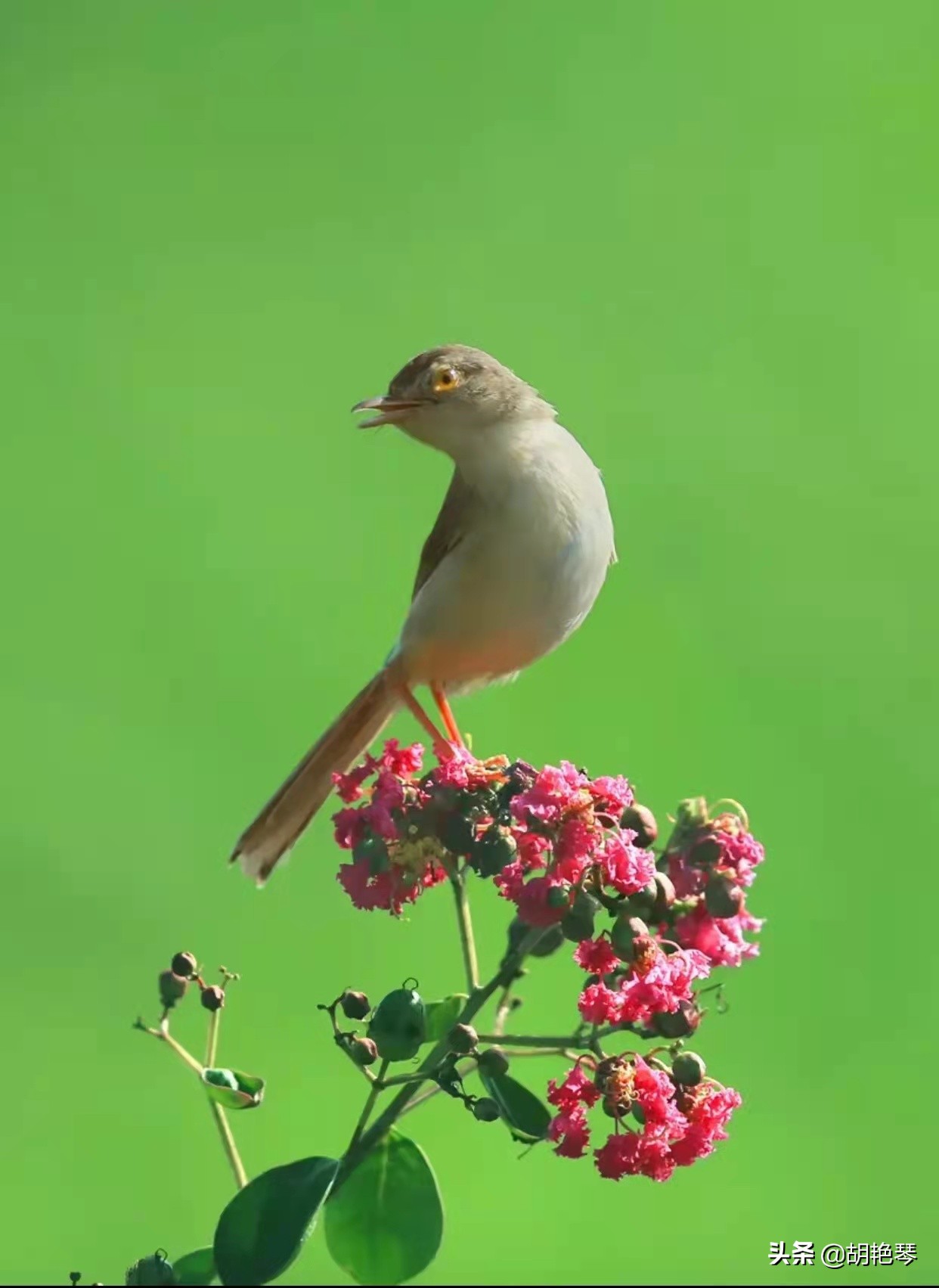 100个姓氏诗词,姓氏诗100句