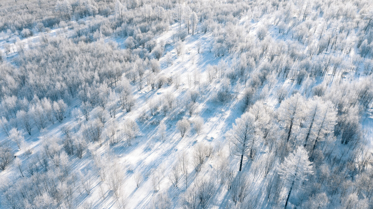二月适合去哪旅游4天,二月适合去哪里旅行最好