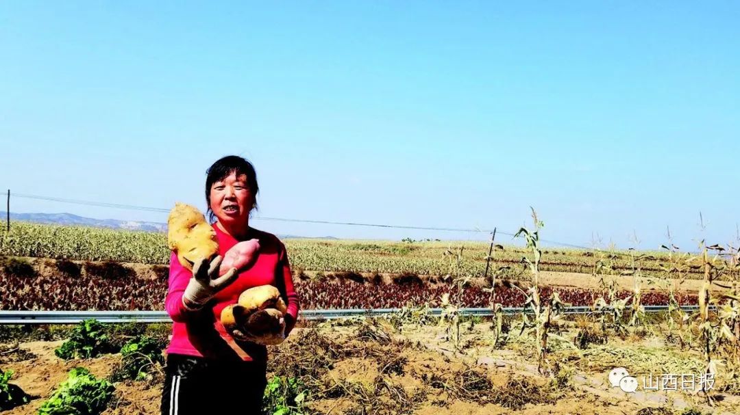 鍦熻眴闈╁懡鍔╁姏涓版敹涓颁骇,鍏ㄧ渷鍔犲伐鍨嬮┈閾冭柉