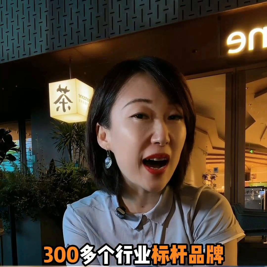 sfe第36届上海国际连锁加盟展览会,sfe第37届上海加盟展时间