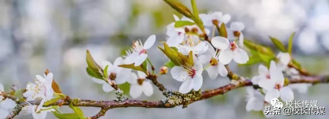 德业并进行稳致远——中层干部培训学习体会