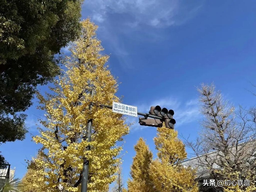 日本国立国会图书馆在哪里,日本国会国立图书馆使用指南