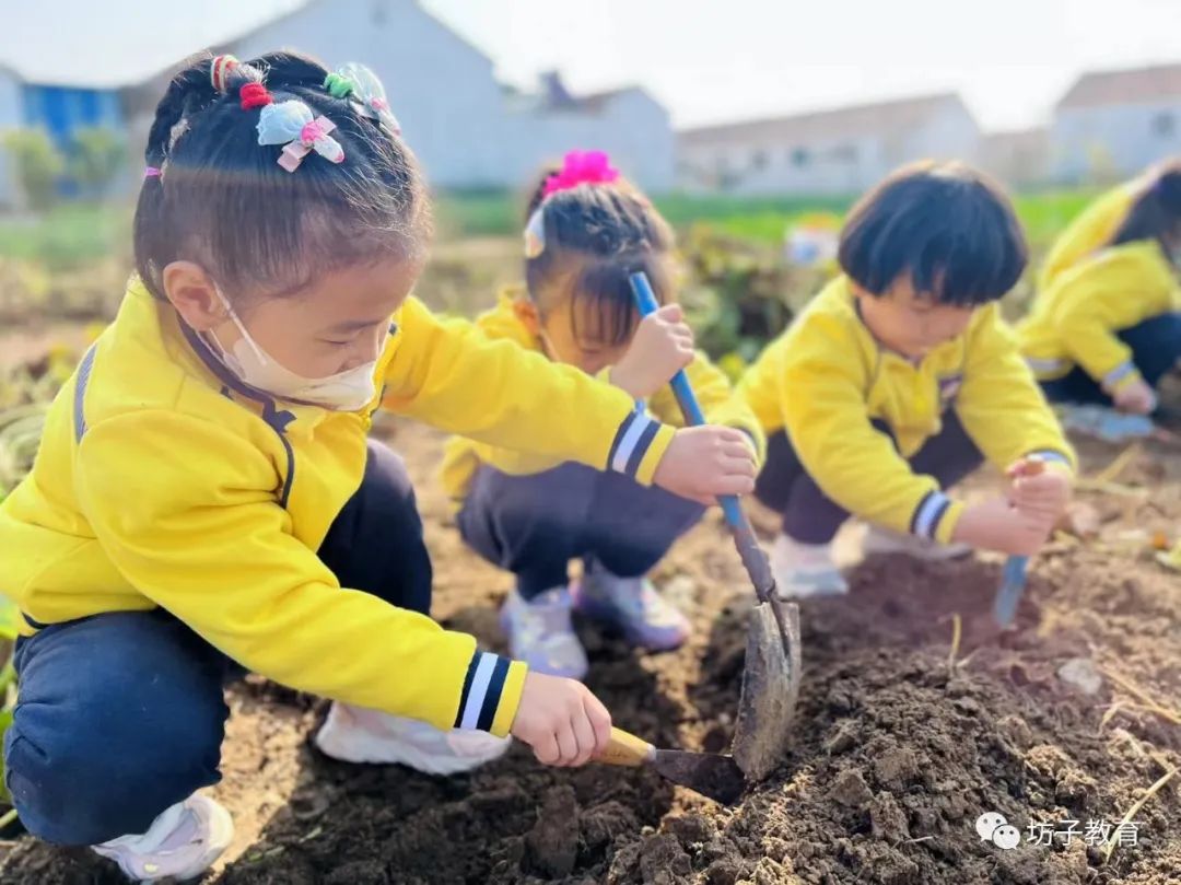 发现美好遇见幸福|坊子区：解锁幸福密码赋能学生成长（二）