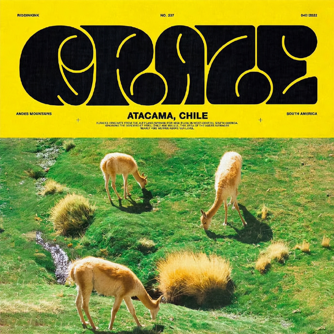 字体海报设计如何融入元素,以字体设计为基础的优秀海报招贴