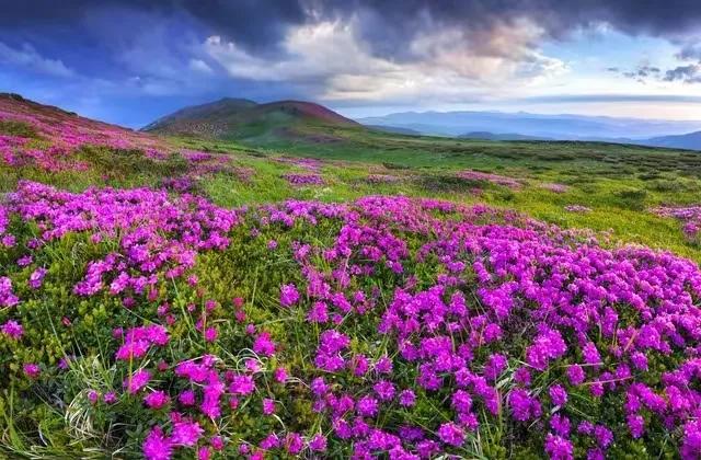 清明祭墓现代诗,现代诗清明祭双亲