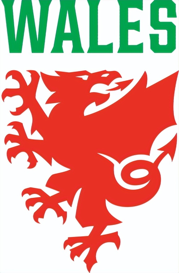 各个国家足球队队徽,中国国家足球队队徽