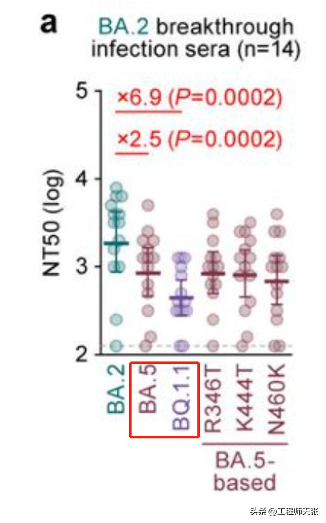 地狱犬变异毒株严重吗,奥密克戎变种地狱犬