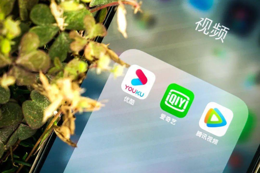 长视频网站的自救战：争夺头部项目，转战分账剧