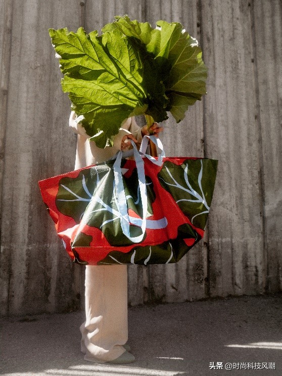 宜家bastua系列,宜家和卡米拉