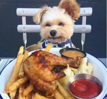 漱口水是怎么样清洁口腔的,漱口水真的有那么重要吗