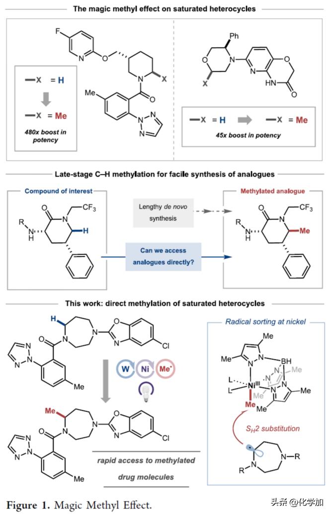 诺奖得主文章,诺奖得主成果有哪些