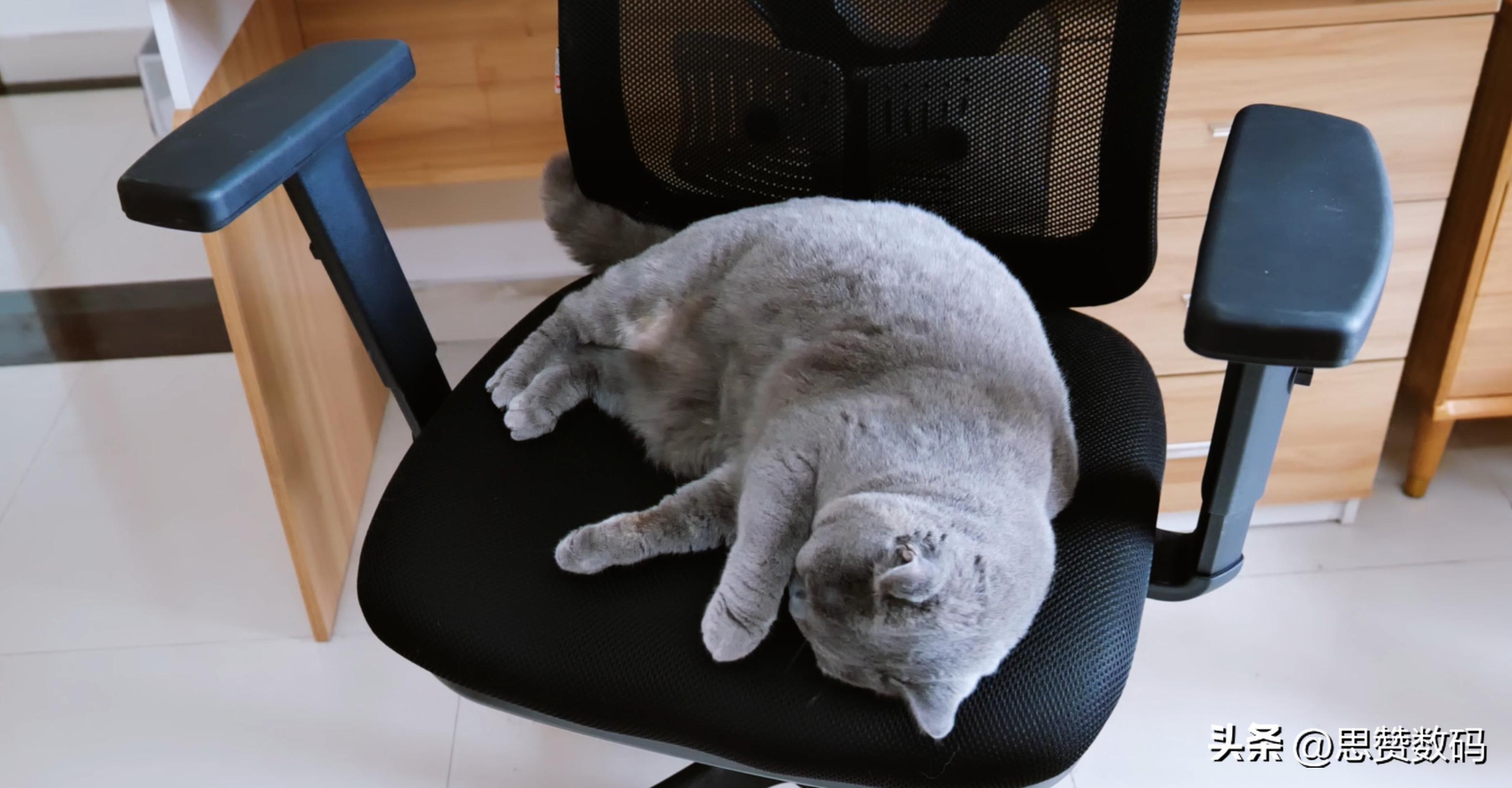 西昊电脑椅m18与m56,歌德利g18六代和西昊m56怎么选