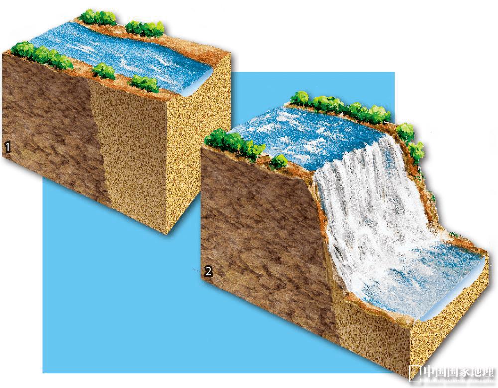 Ta的最佳观赏期到了,这个夏天安排上!