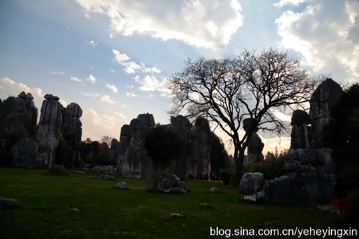 世界地质公园云南石林风景区,昆明石林国家地质公园