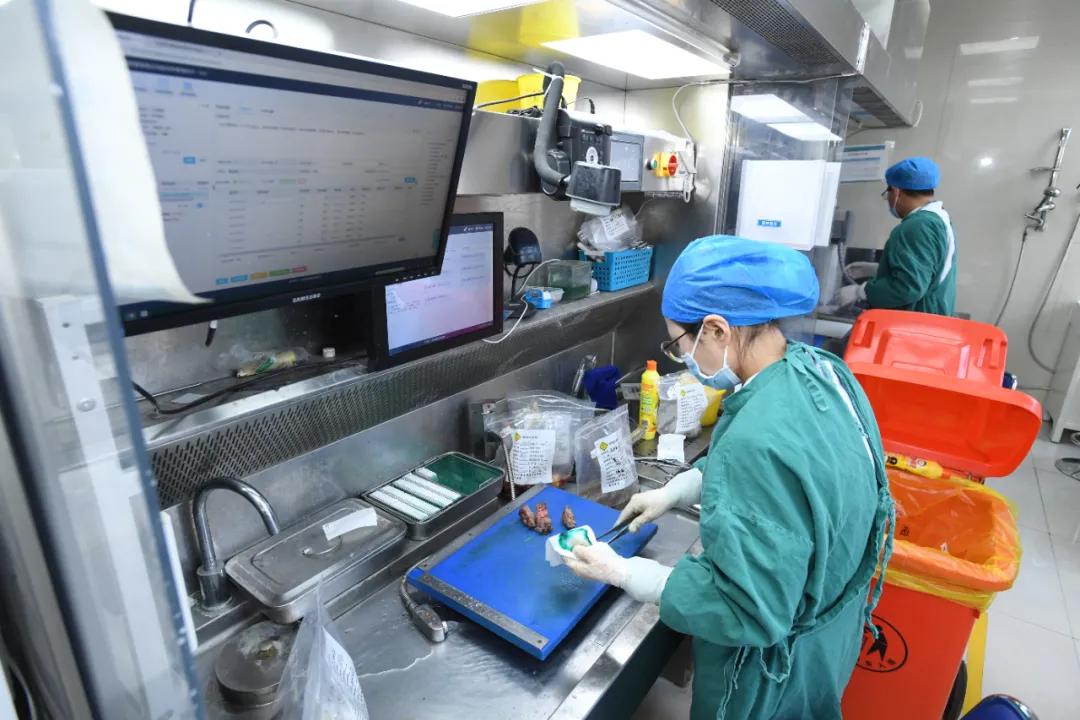 活体病理切片是什么,探访医院病理科