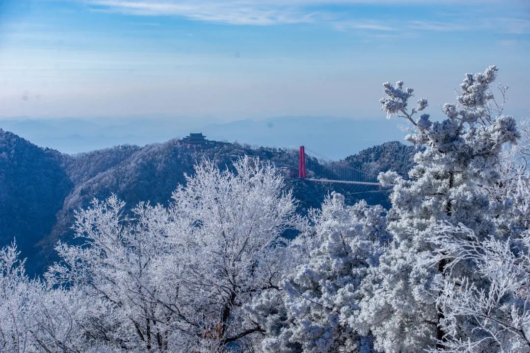 世界杯抢门票活动,竞彩世界杯门票