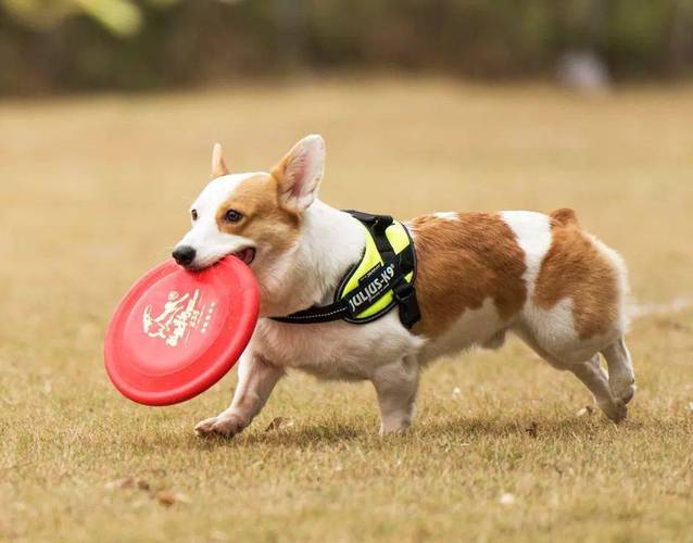 派摩科技|门店没有记忆点，生意如何做好？
