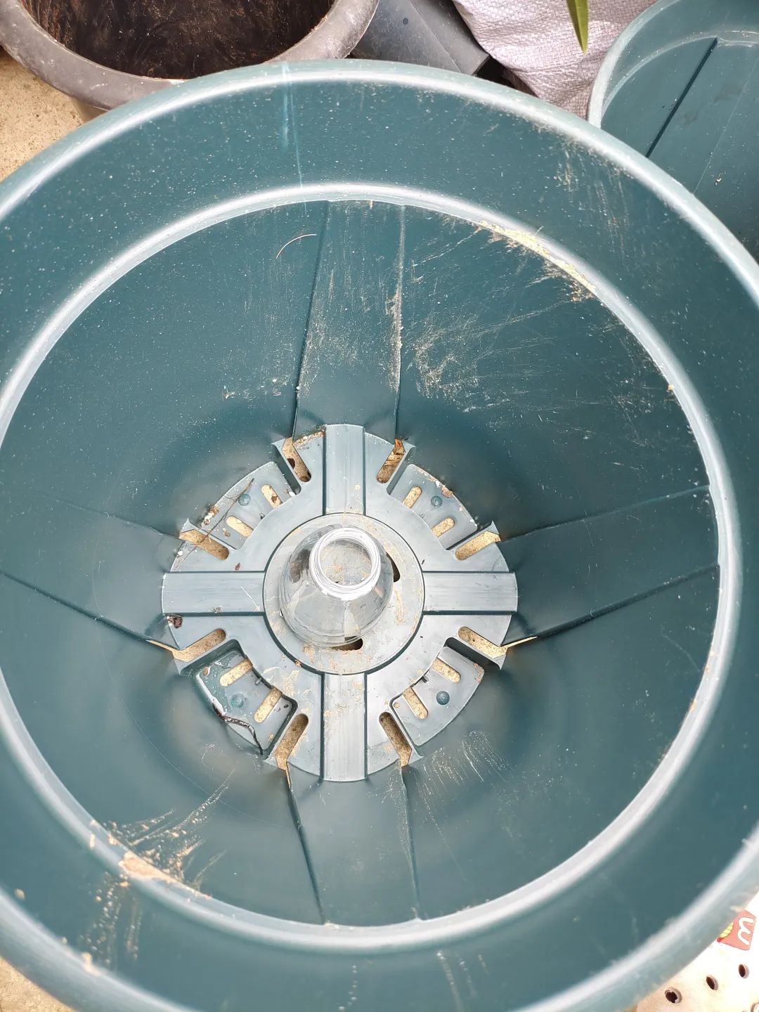 刚买回来的盆栽掉叶子怎么回事,盆栽蔫了怎么补救