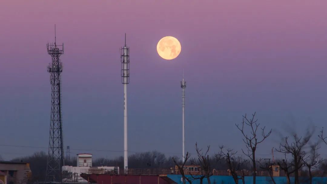 移动、电信与联通：拆解“*特中**估”典型样本