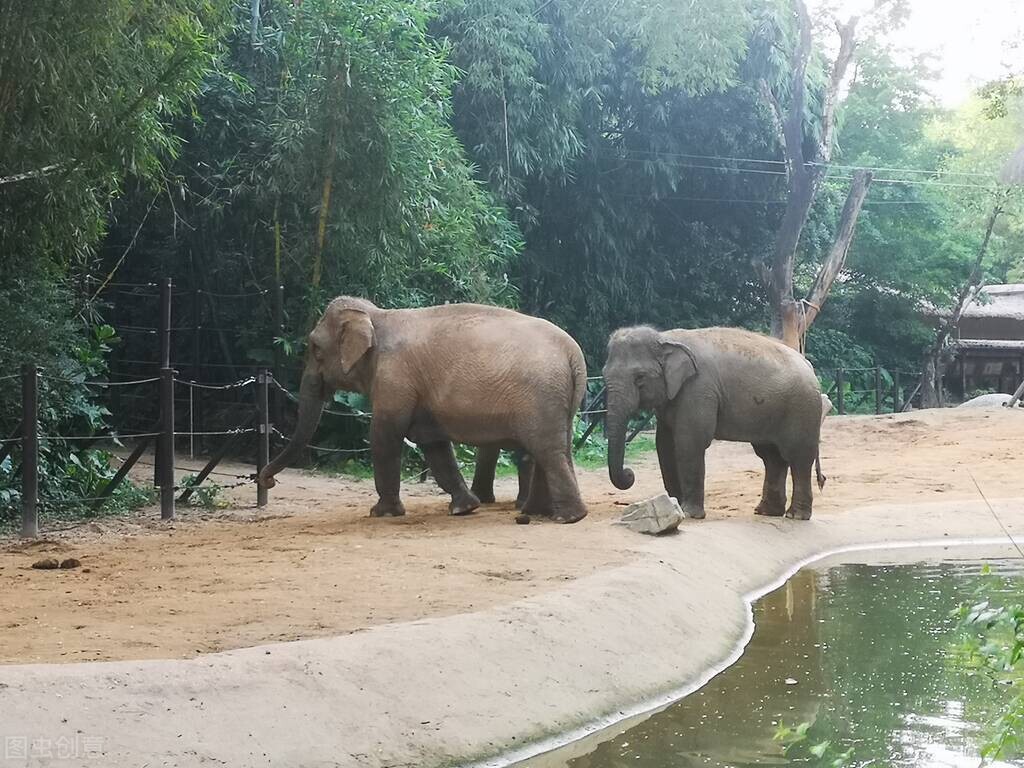 在泰国清迈的真实感受,泰国小城市的医疗水平