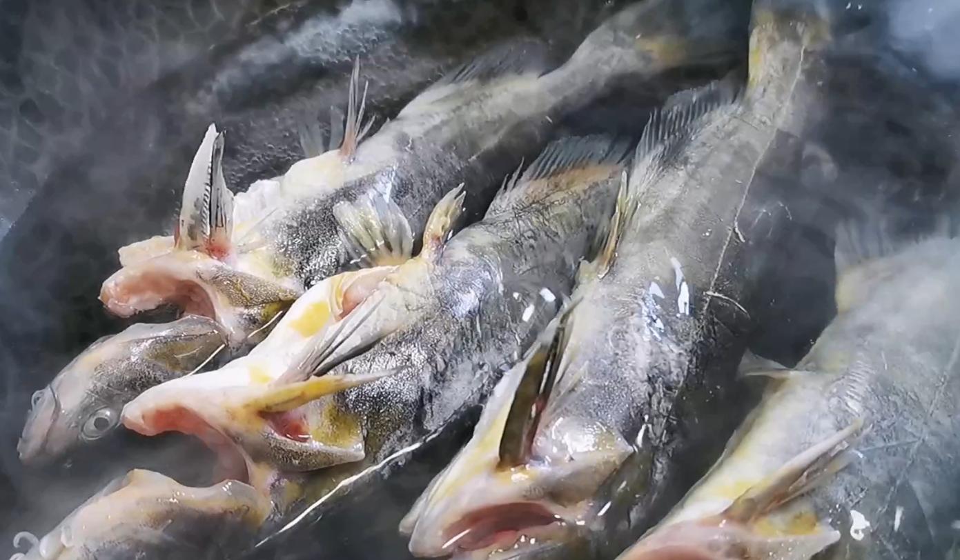 不论炖什么鱼最忌放这2种调料,炖鱼的时候多放什么鱼才能不腥