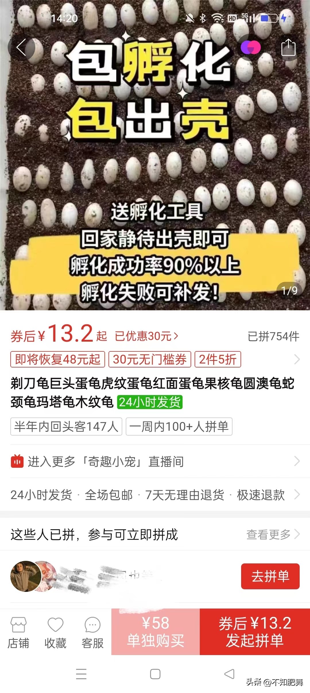 直播卖龟的平台有哪些,淘宝直播卖龟蛋