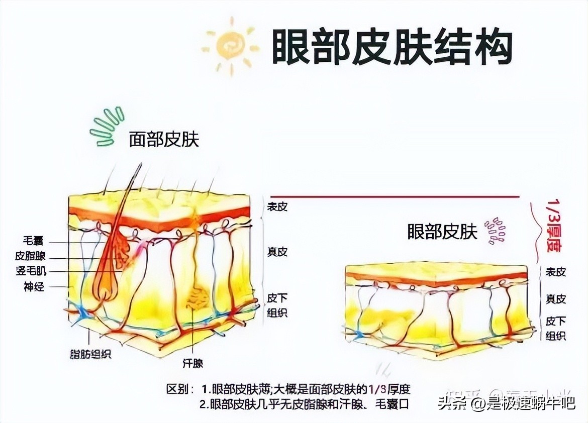 眼霜究竟是不是智商税呢,热熔霜眼霜是智商税吗